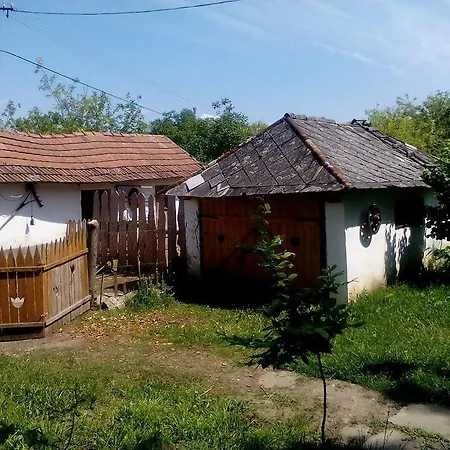 Nyaraló Kamilla