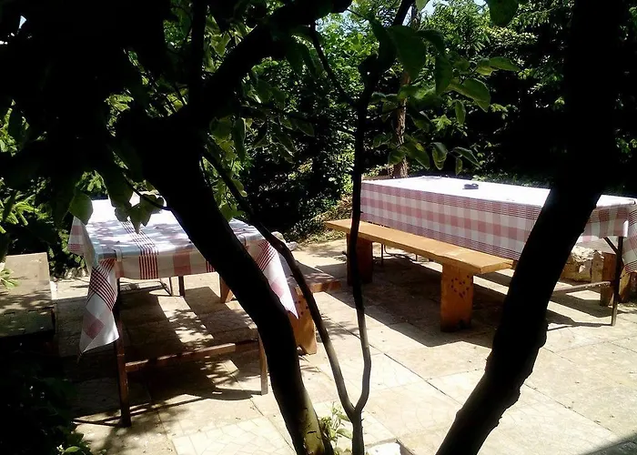 Kamilla Hernádkércs