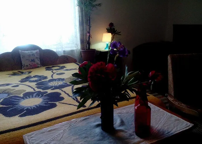度假居 洋甘菊度假屋